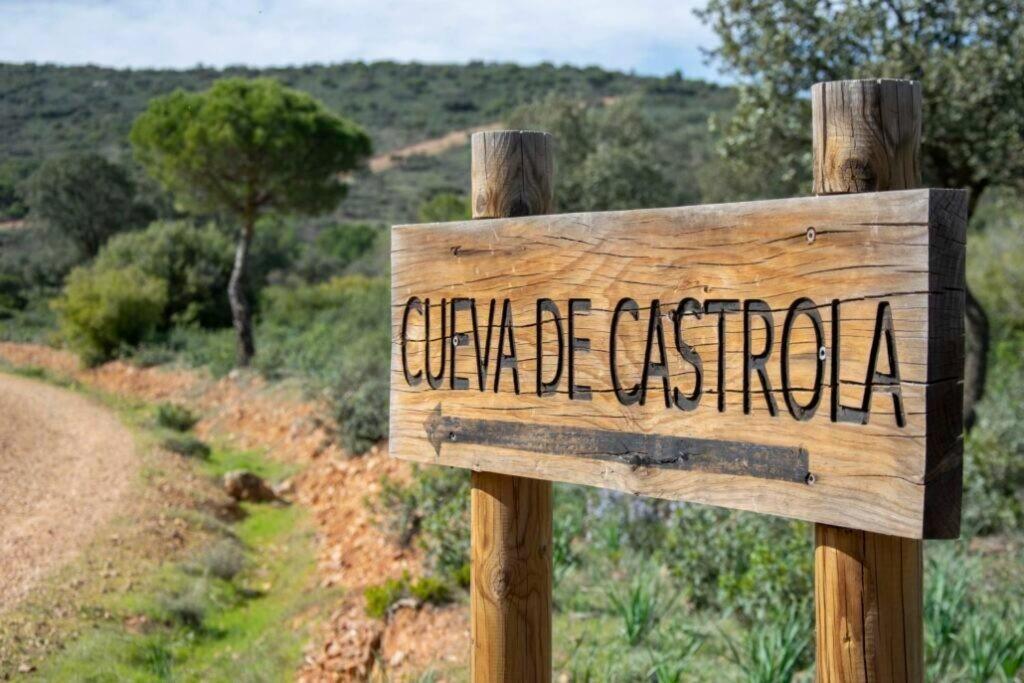 Finca El Pilar Madridejos Dış mekan fotoğraf